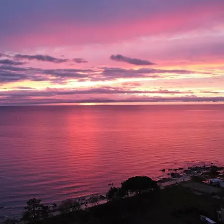 Belvedere アパート